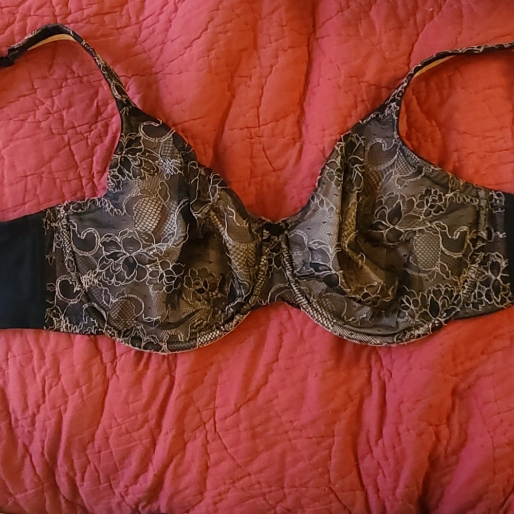 Cacique Lane Bryant bra sz38F